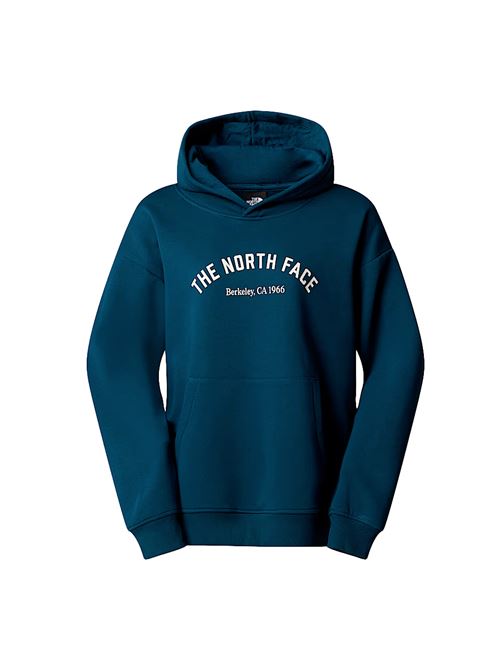 THE NORTH FACE Varsity Hoodie THE NORTH FACE | NF0A89CSQLI1